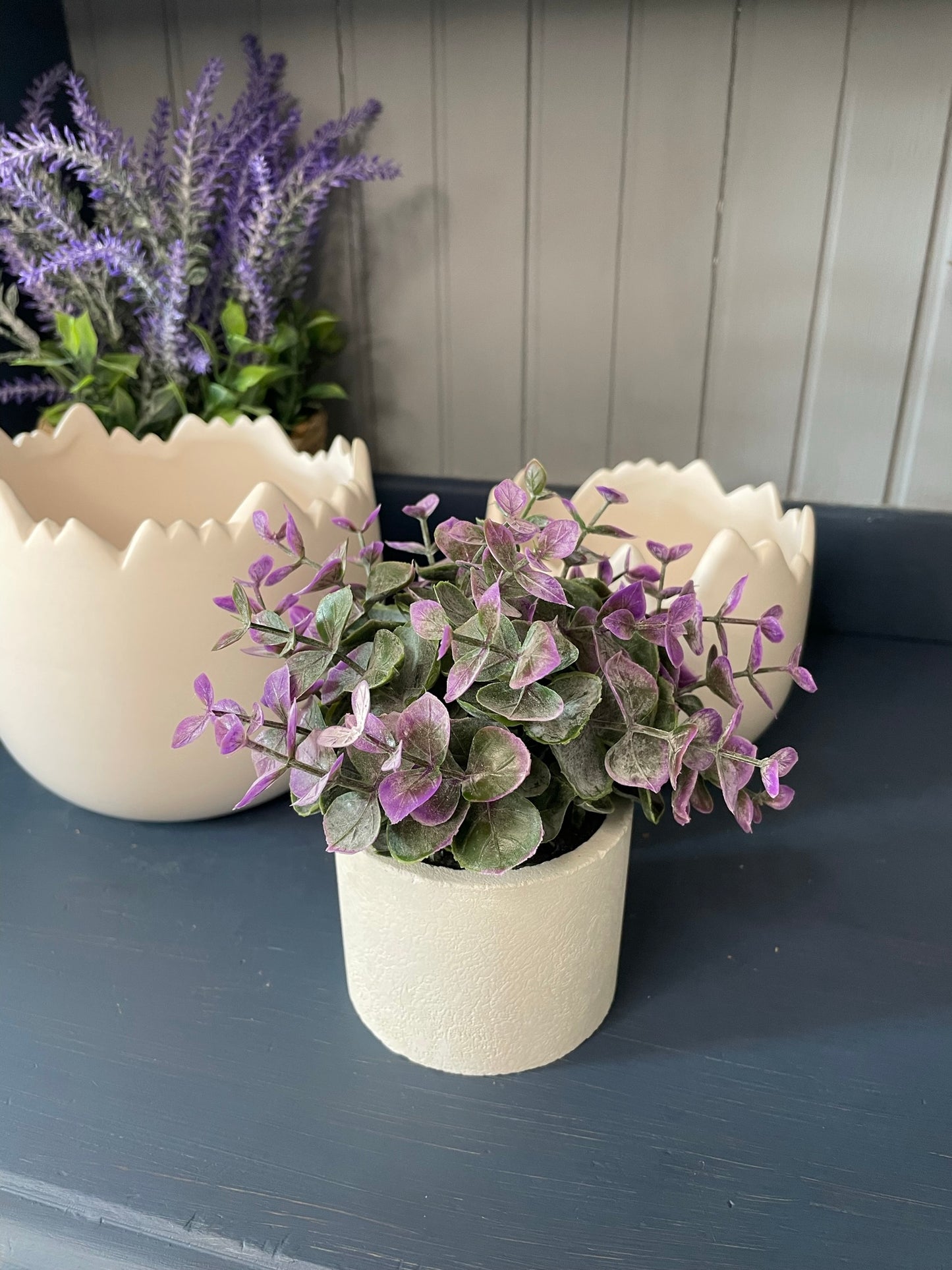 Mini Potted Plant
