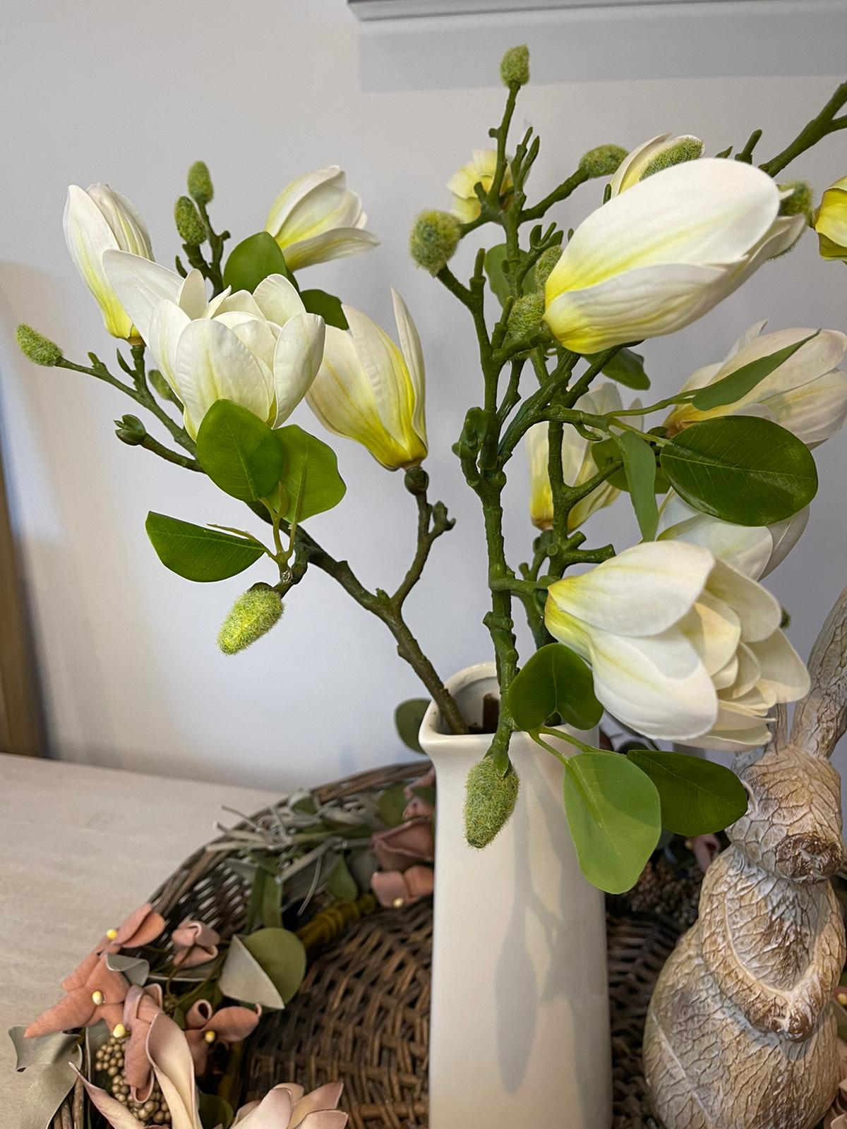 White Magnolia Branches