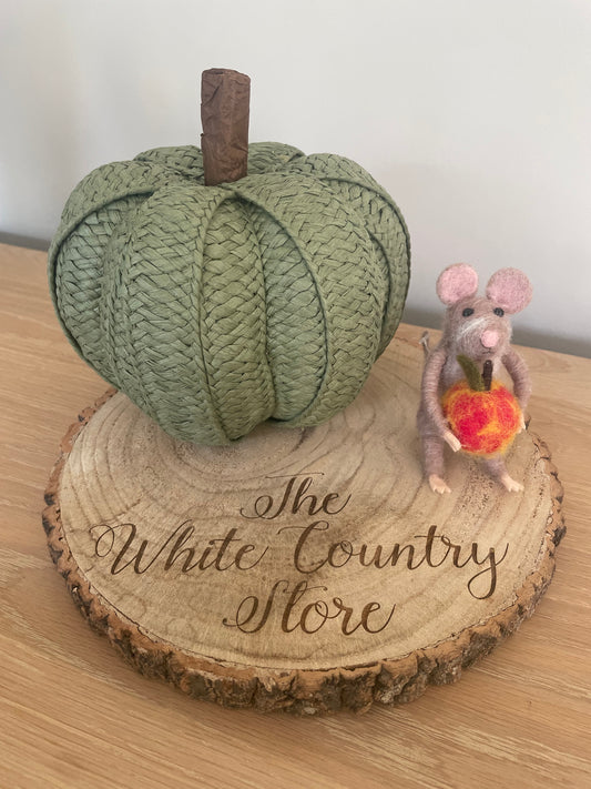 Sage Green Pumpkin