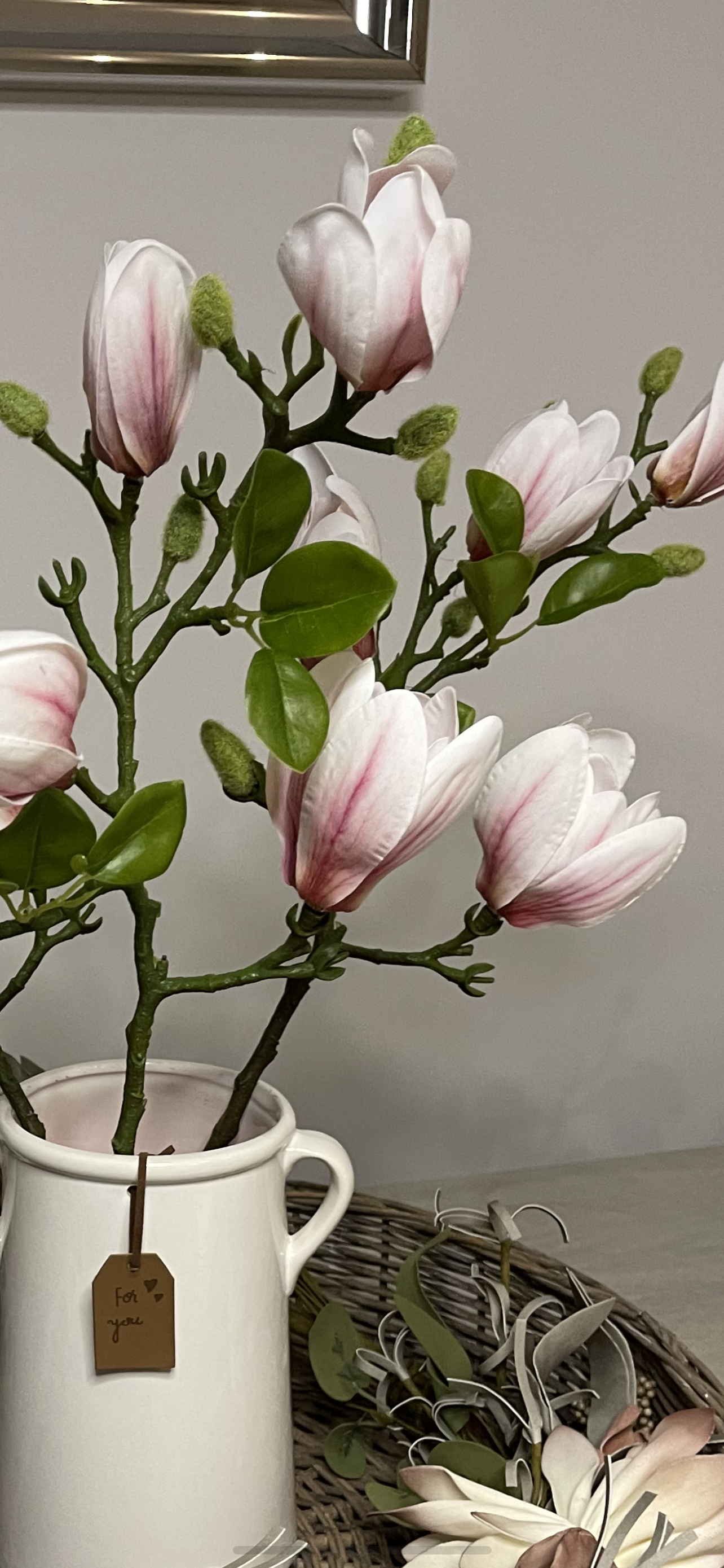 Pale Pink Magnolias